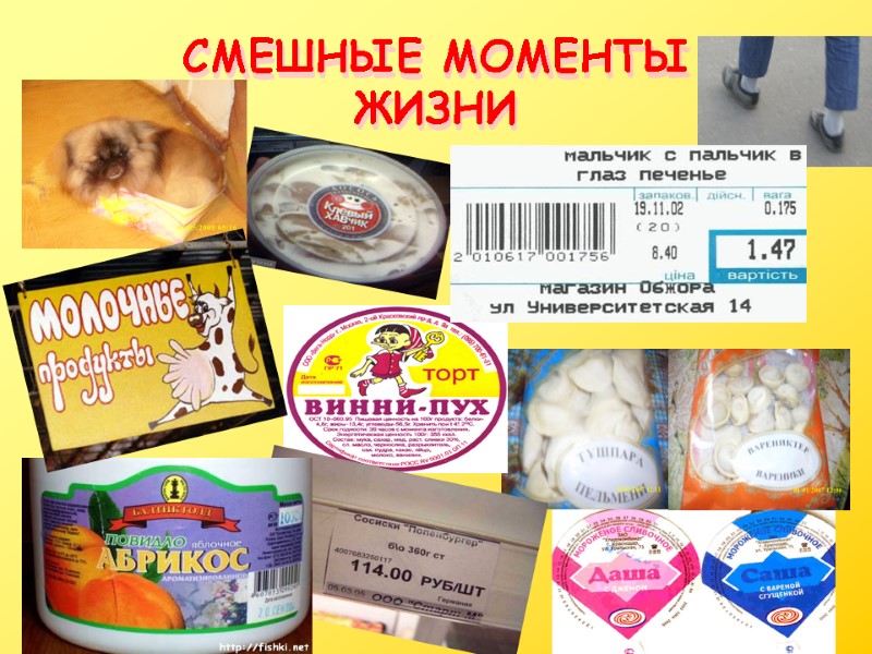 СМЕШНЫЕ МОМЕНТЫ ЖИЗНИ